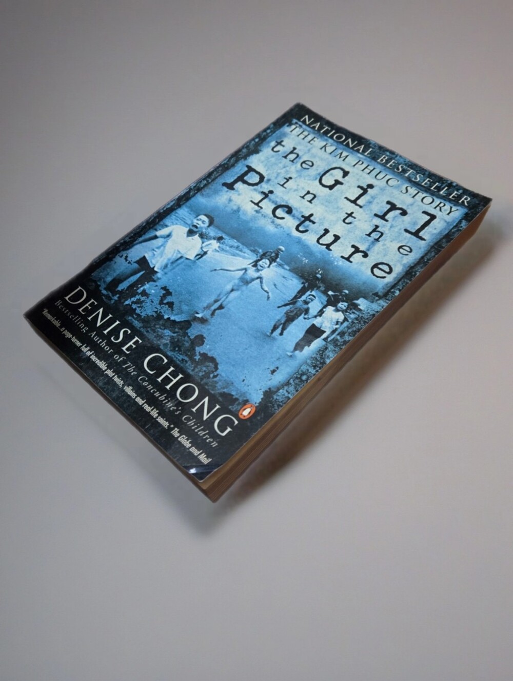 The Girl in the Picture Paperback